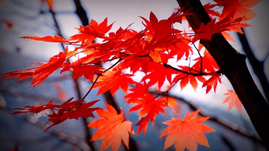 今日霜降至，天寒心要暖！